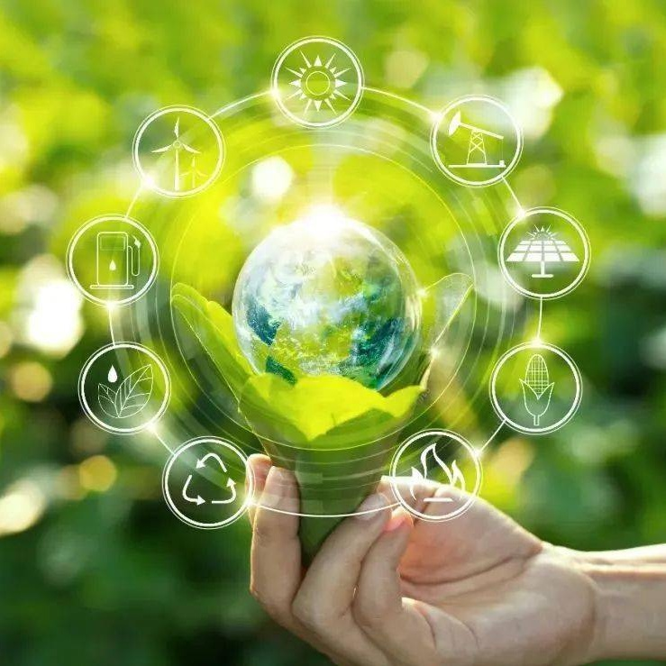 Sustainable fashion: How the men's wear industry achieves a carbon-neutral supply chain